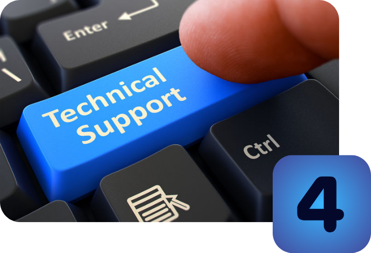 Plingge Website Creation